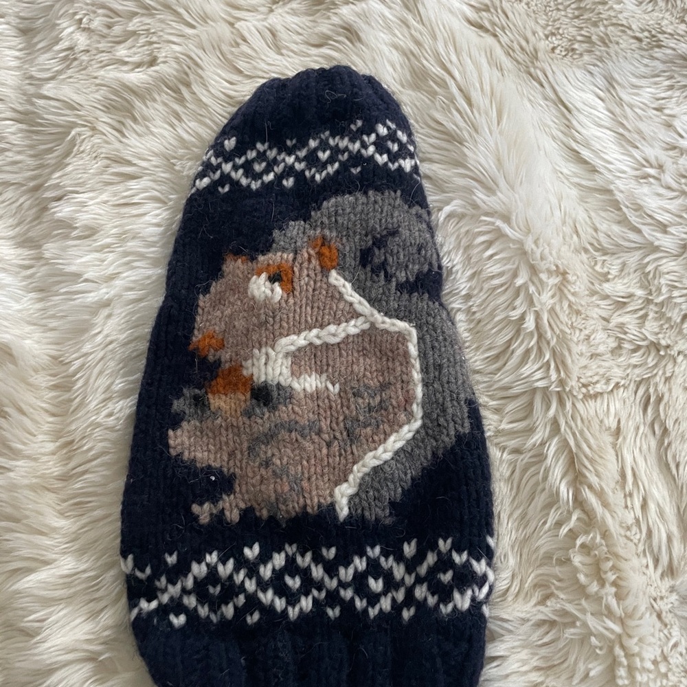 Hand Knit dog sweater small squirrel 4-6 lb chilly dog clothes